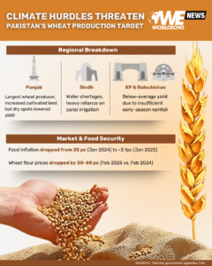 Not Reaping What We Sow: Climate Hurdles Threaten Pakistan’s Wheat Production Target"