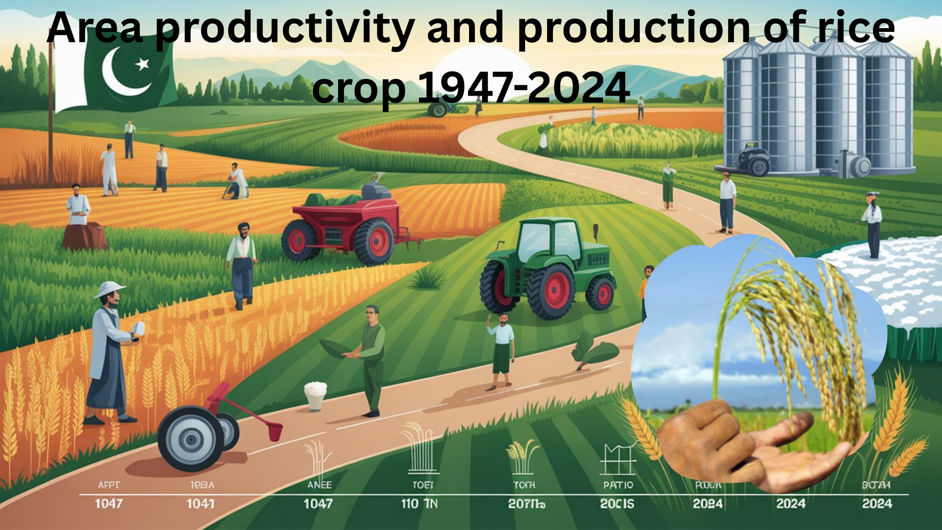 Historical trends in rice area, yield, and production in Pakistan from 1947 to 2024, showing growth patterns in agriculture.